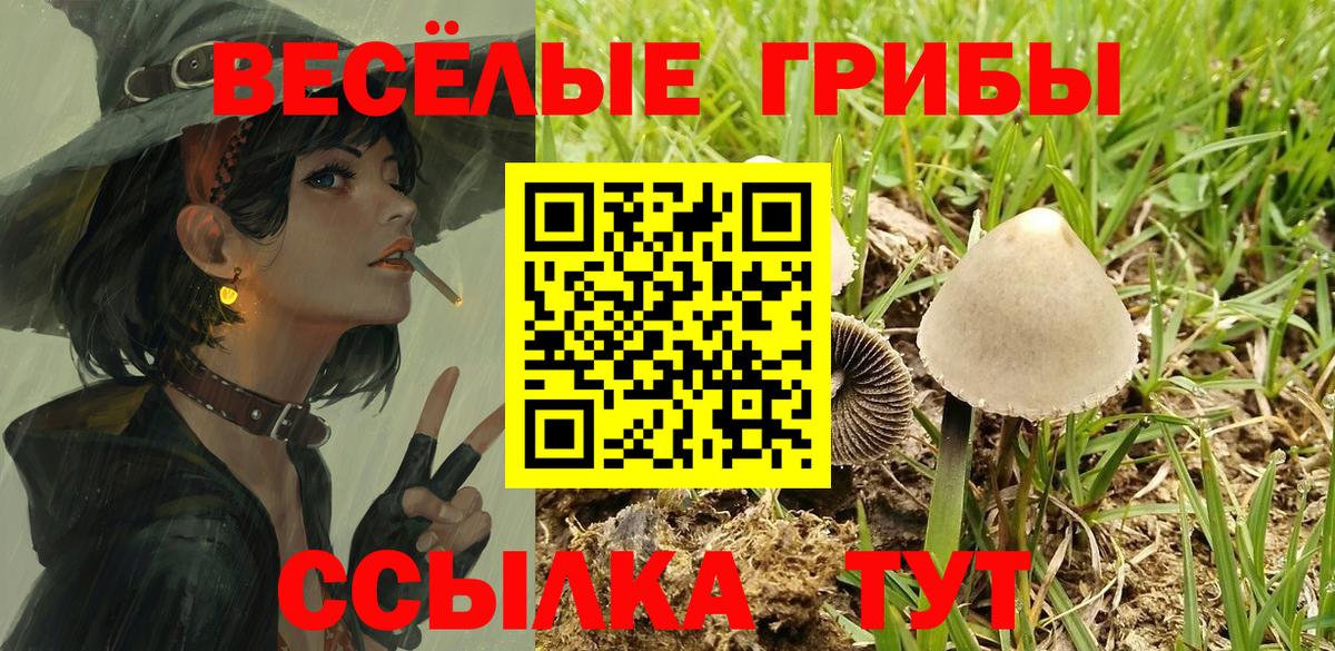 Псилоцибиновые грибы мухоморы Приморско-Ахтарск