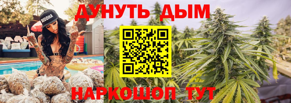МАРИХУАНА план  Бошки Шишки тримм  Бошки Шишки Ganja  Приморско-Ахтарск  Вход с VPN  Конопля THC 21% 
